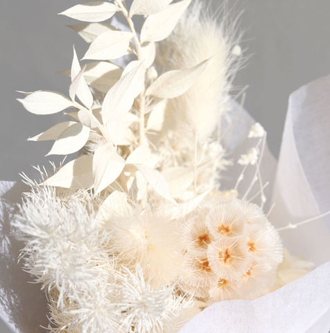 White Dried flowers