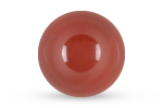 Carnelian Bead Voltlin Spiritual Healing Crystals & Gemstones Jewelry