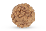 Rudraksha Bead Voltlin Spiritual Healing Crystals & Gemstones Jewelry