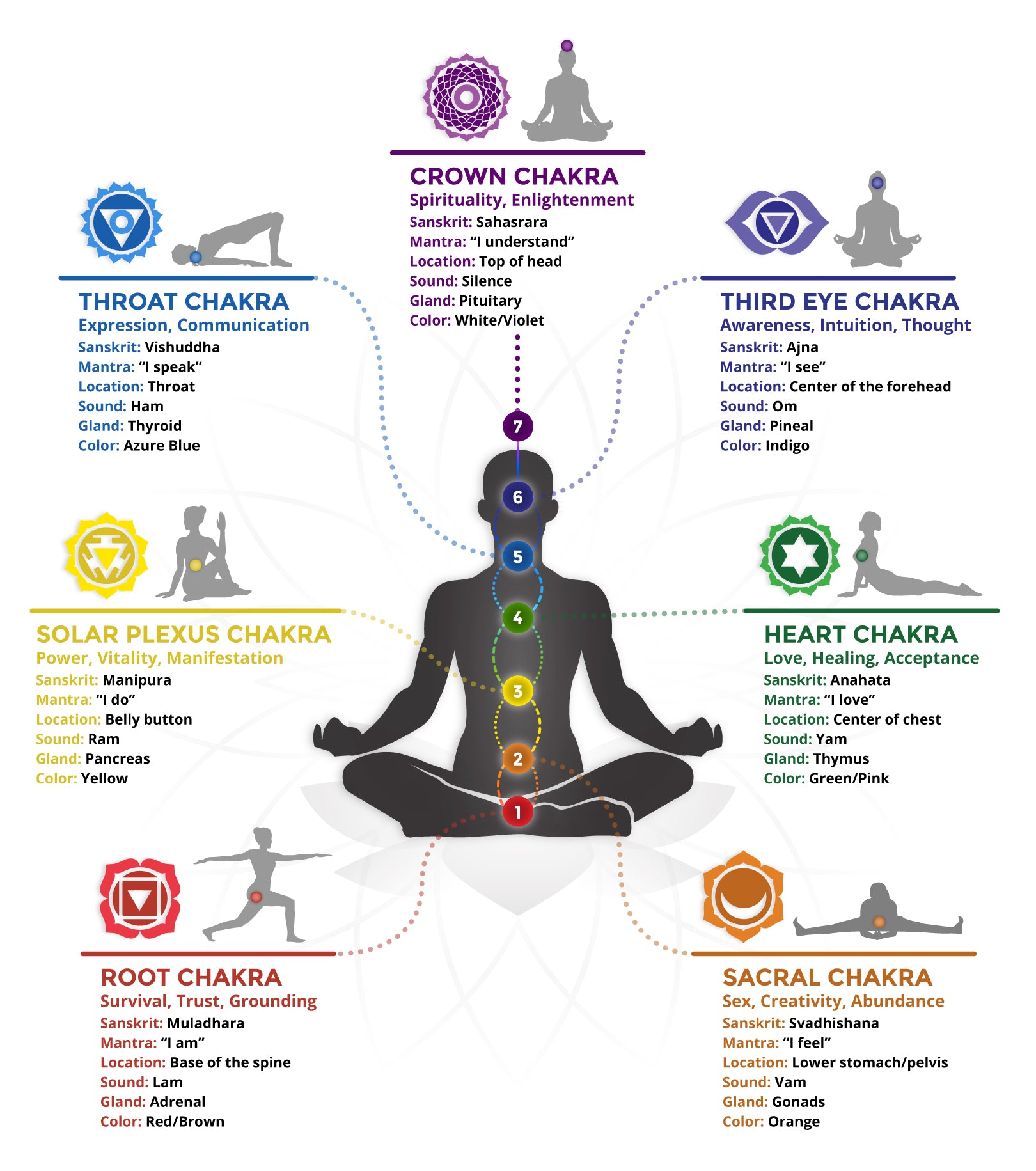 The 7 Chakras - Their Colors, Symbols, Meanings, & Glands Explained -  VOLTLIN