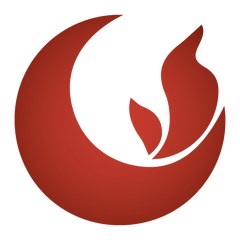 The Element of Fire (Sagittarius, Leo, Aries)