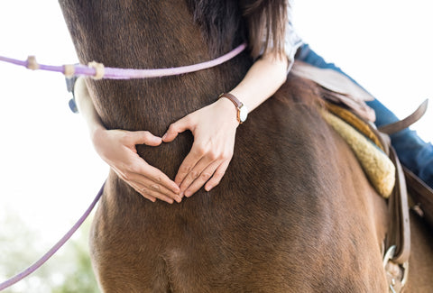 Emotional Support Equine