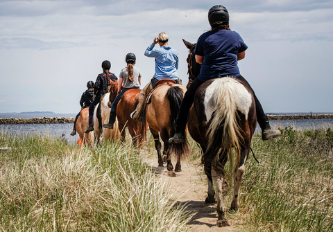 Trail Ride