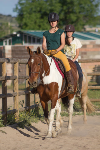 Hippotherapy