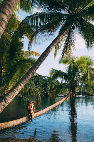 Woman sitting on palm tree