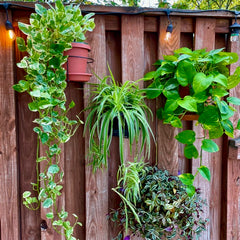 railing planters for fences RailScapes by PlantTraps