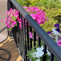 twice the curb appeal with balcony gardening tips RailScapes by PlantTraps