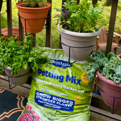 fertilizing tips for balcony gardening