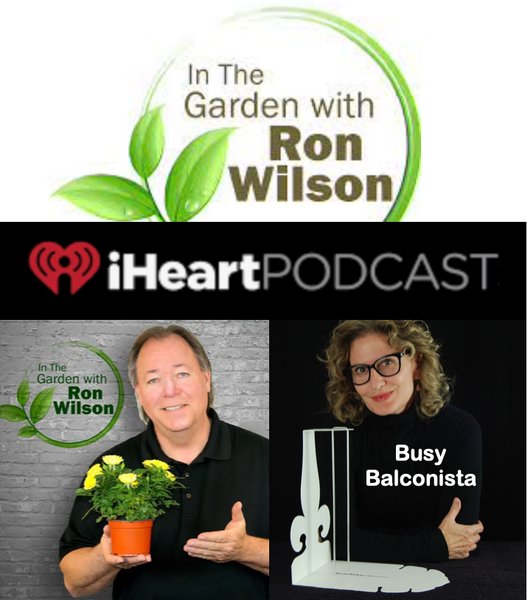 I Heart Radio Ron Wilson Podcast