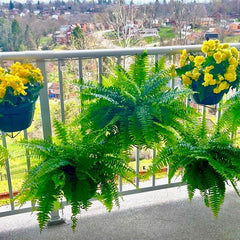 HOA hack for balcony garden tips RailScapes by PlantTraps