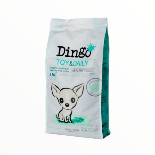 Dingo Toy & Daily