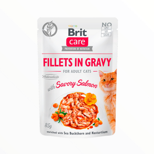 Brit care filetes salmon en salsa