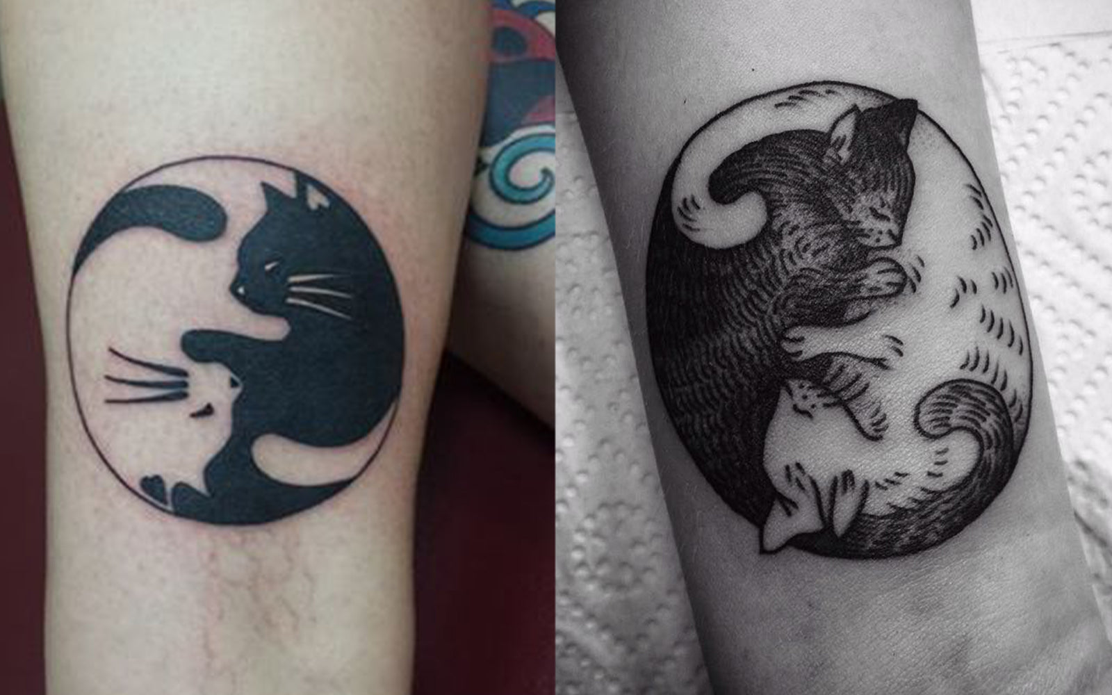 Yin Yang Cat Tattoo