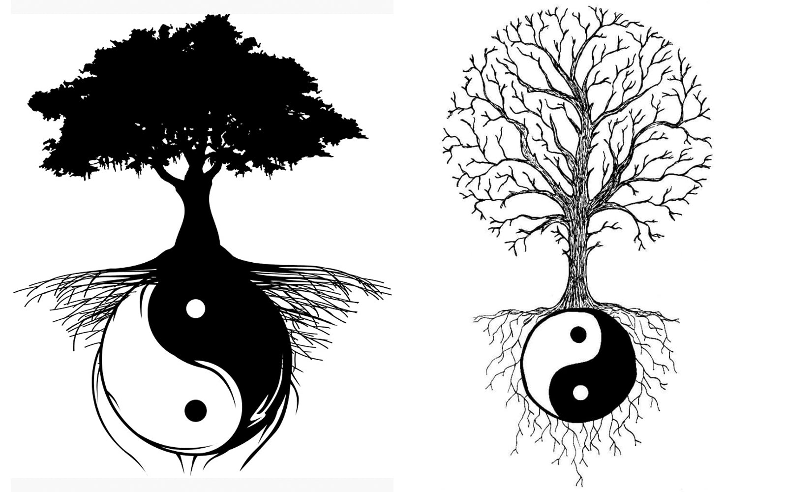 Yin-Yang Dragons ☯️🐉 : r/taoism