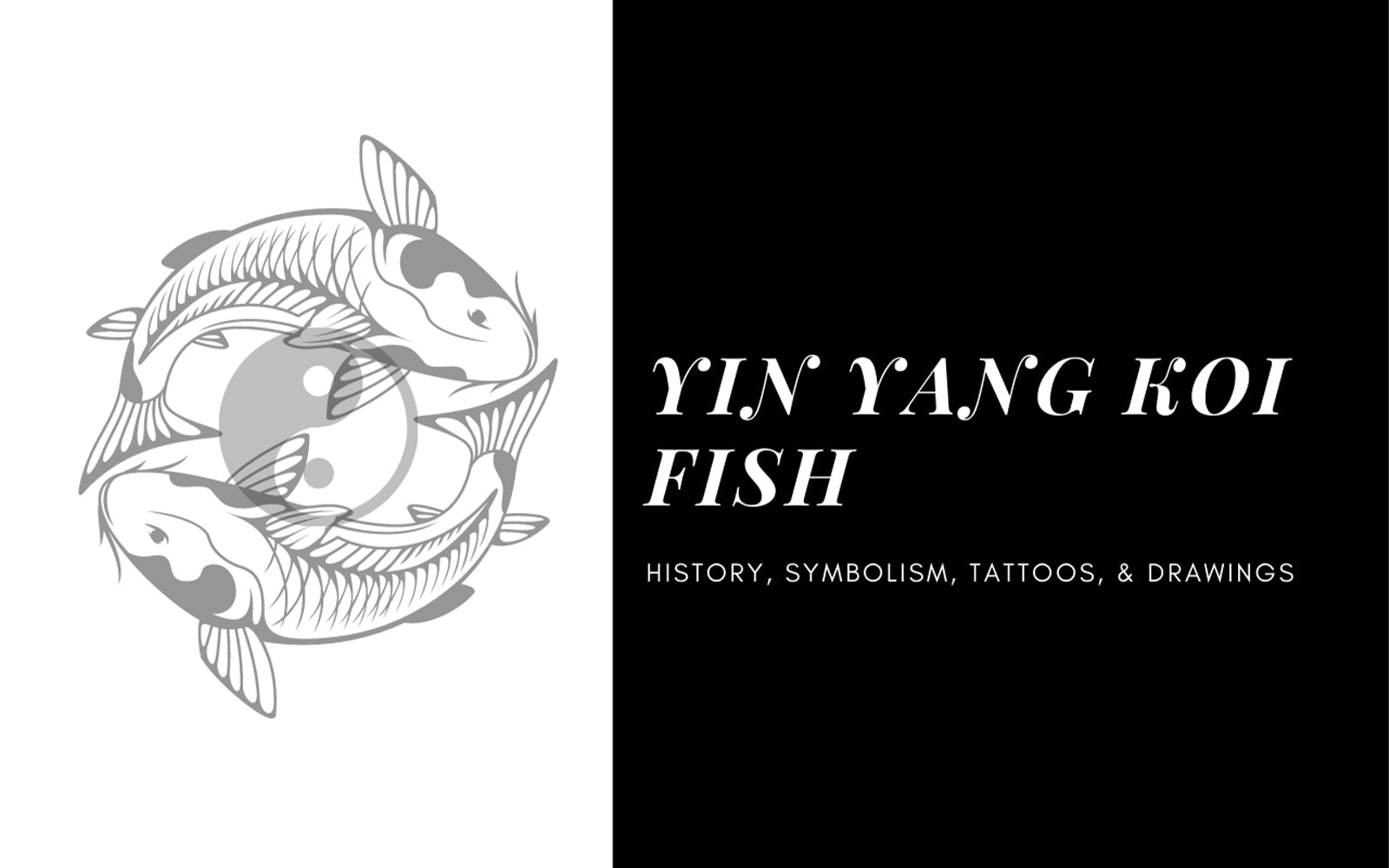 Koi Fish Meaning & Symbolism in Feng Shui