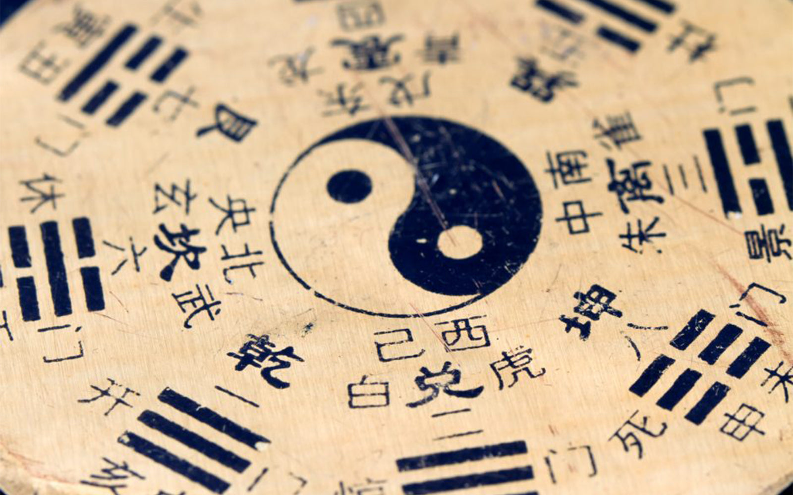 Yin Yang Meaning  Yin Yang Paradise