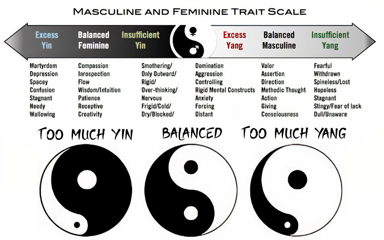 What Is Yin And Yang In Chinese Medicine Yin Yang Paradise