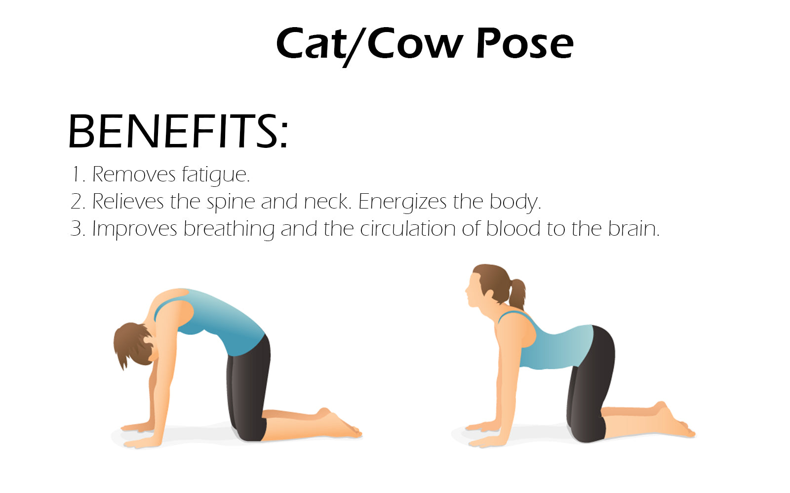Marjariasana (Cat Stretch Pose) Benefits & Steps – Mystical Bee