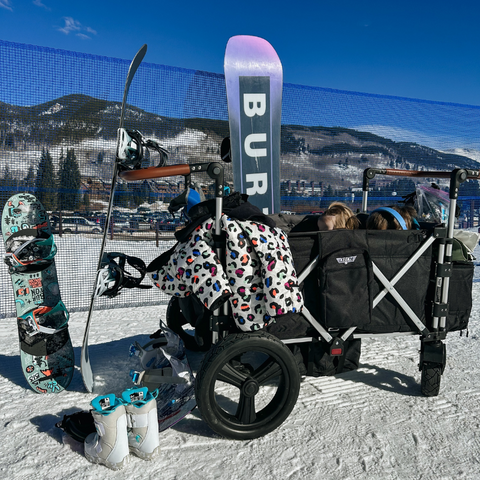 stroller wagon with ski gear