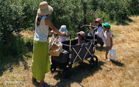 family apple picking