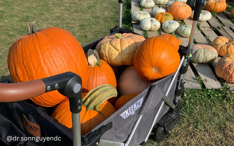 Stroller Wagon filled with Pumpkins