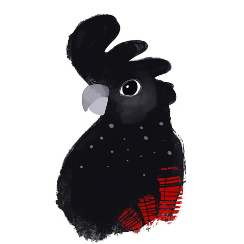 illustration of black cockatoo by Adelaide artist Isabel Lopes