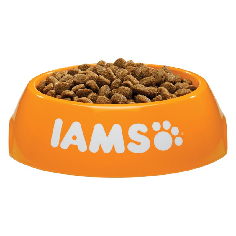 Iams large breed discount dog food 12kg