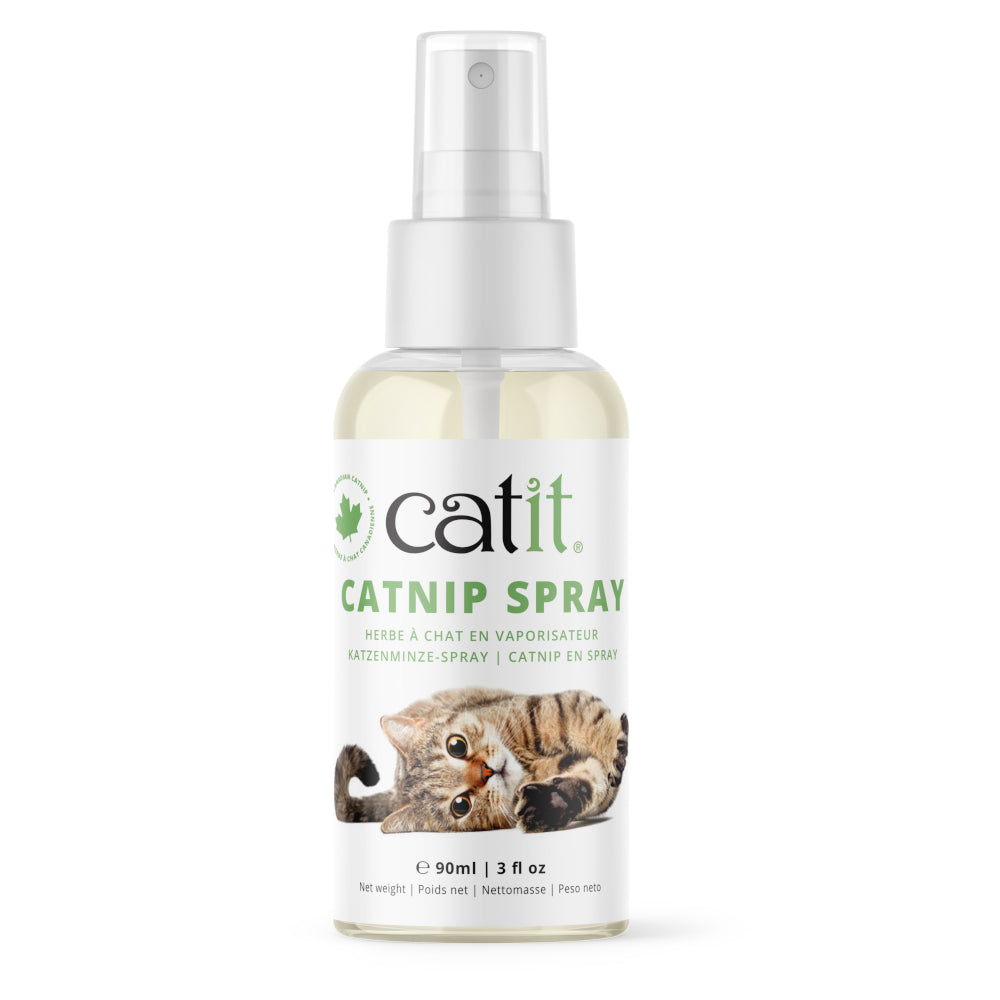 Herbe à chat naturelle KONG Naturals Catnip Spray