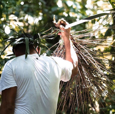 Carrying Açaí branch