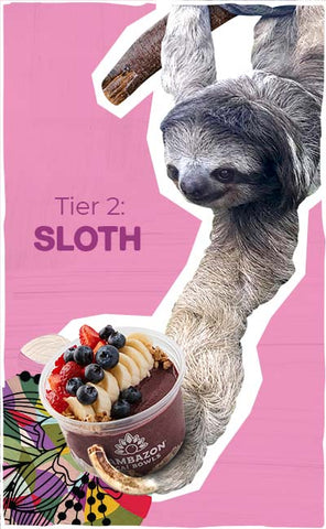 Tier 2 Sloth