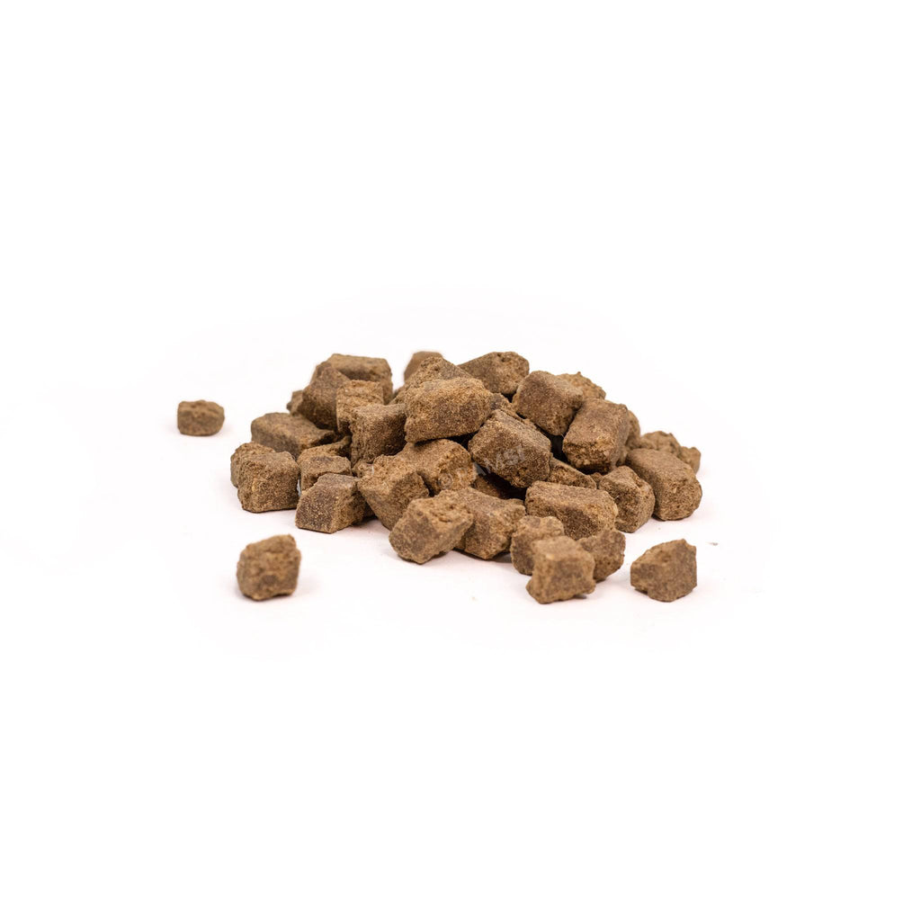 Bouillon d'Os de Boeuf Bio pour Chien - Chatchienprestige