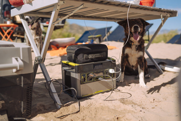A dog sits under a camping table next to a Goal Zero power station.