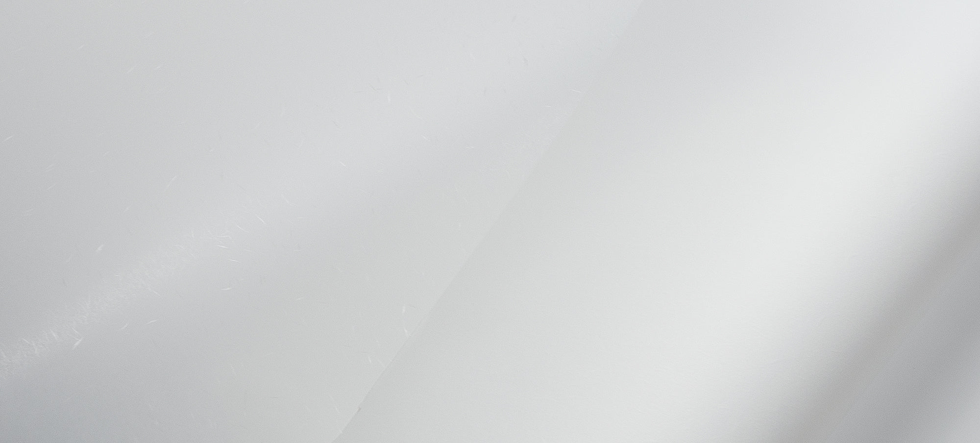 昇竜 純白（コピーNo.50 白花）1091×788mm