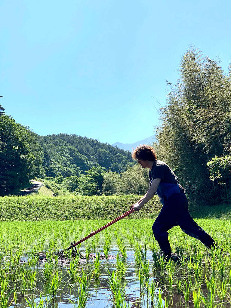 杜氏の三輪さん