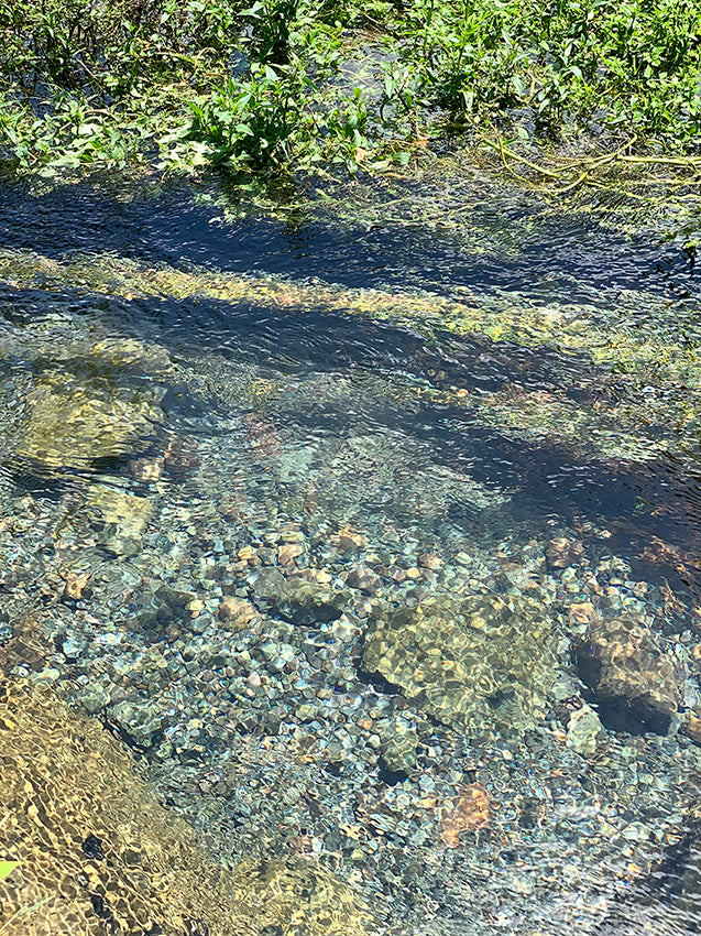 地蔵滝の泉の清流