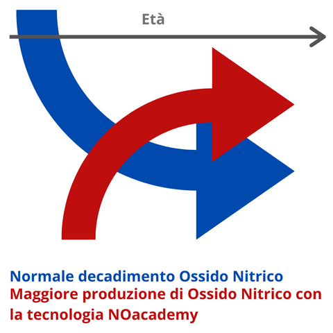 disfunzione erettile e ossido nitrico