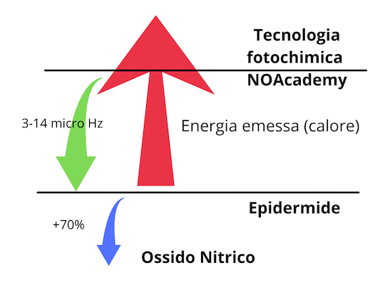 ossido nitrico