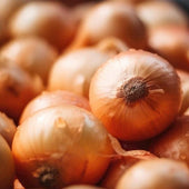 https://cdn.shopify.com/s/files/1/0520/1543/1841/files/pile-onions-basket_x170.jpg?v=1687831750