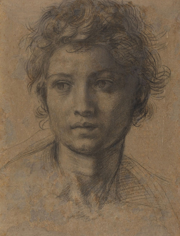 Andrea del Sarto