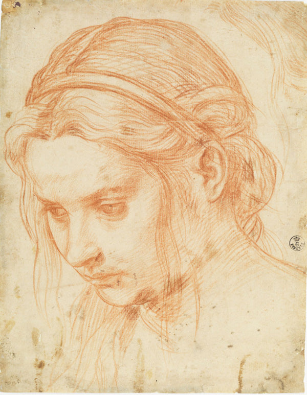 Andrea del Sarto