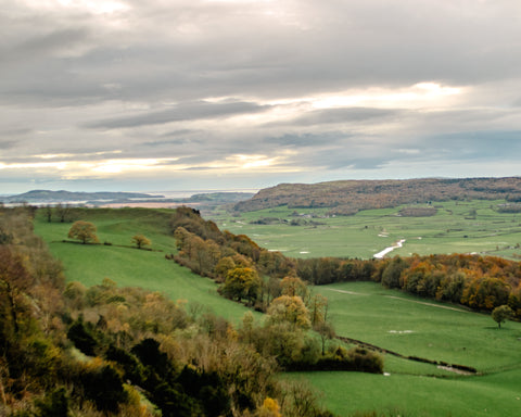 Views from Scout Scar Trail Run