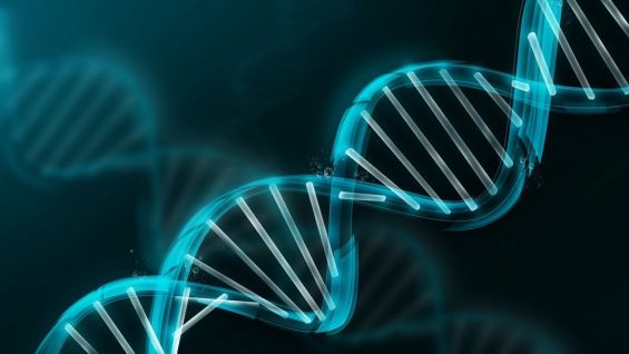 découverte biologique