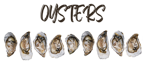 Oysters