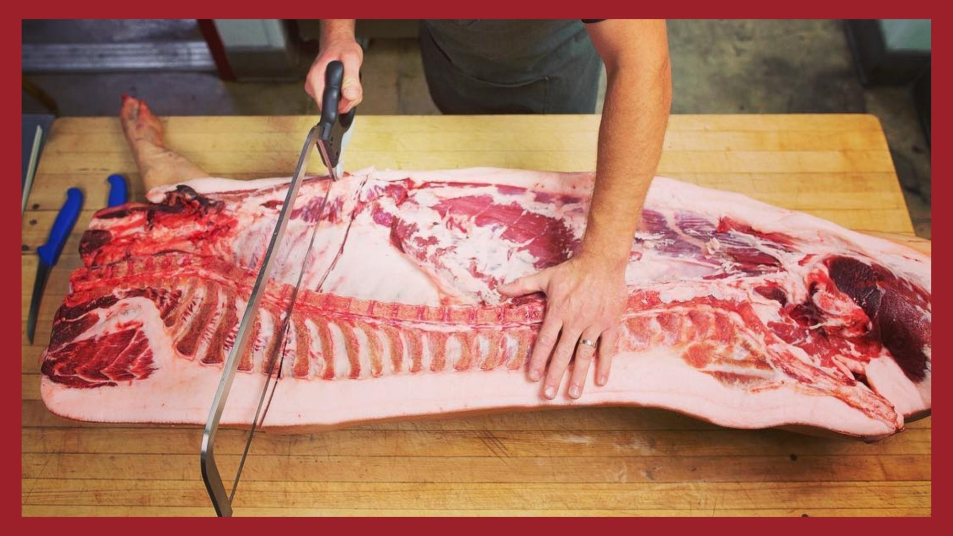 A half a pig on a butchers table being butchered into primal cuts with a hand saw.