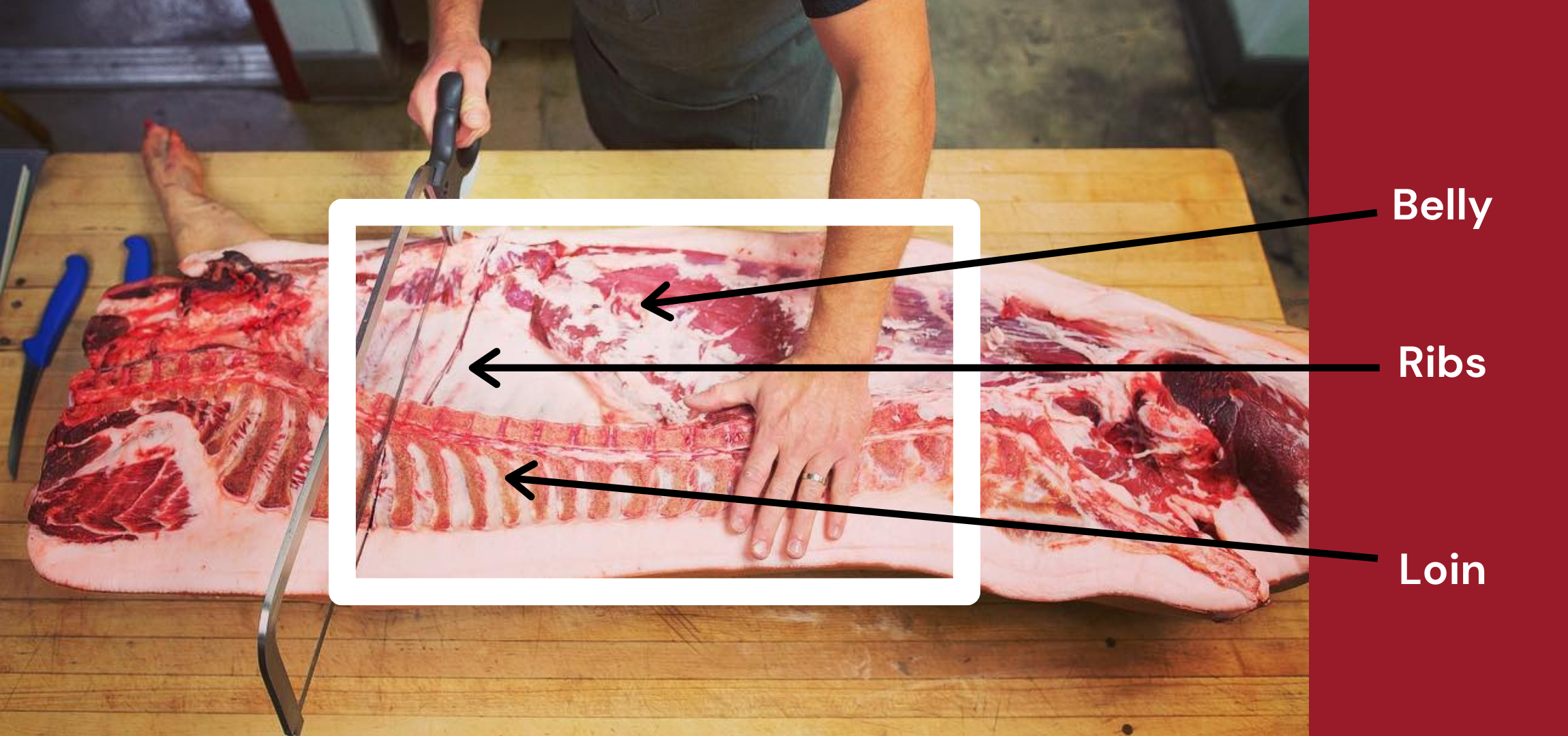 An image that shows a picture of a half pig on a table being processed by a butcher with arrows pointing out the pigs loin, ribs and belly.