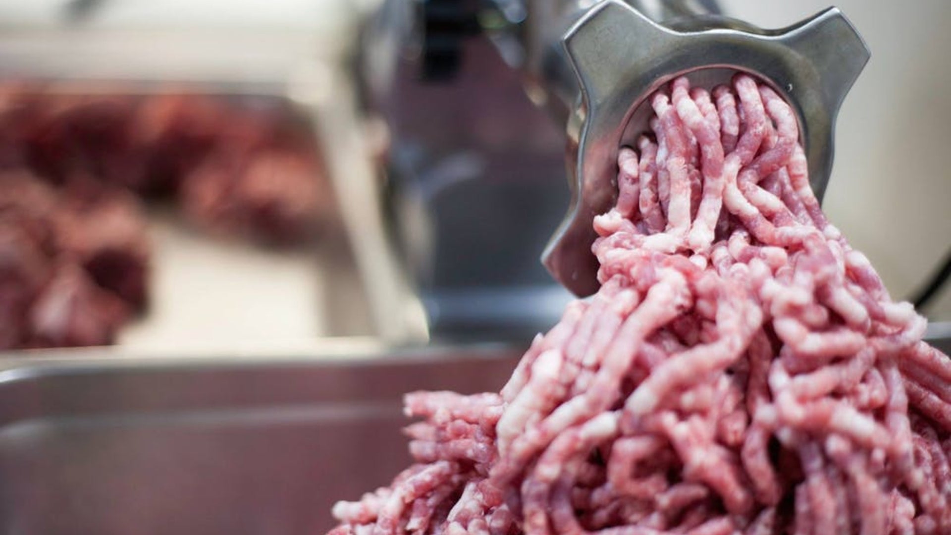 A close up of ground pork meat coming out of a meat grinder and piling up.