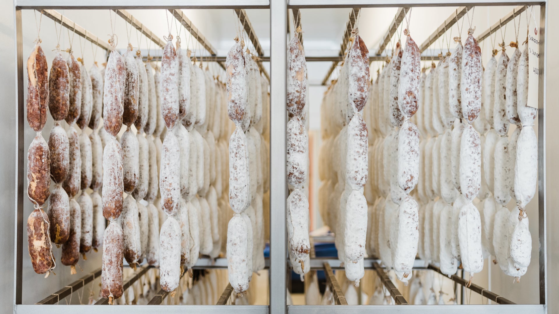 A picture showing the various growth stages of protective mold on il porcellino's salami.