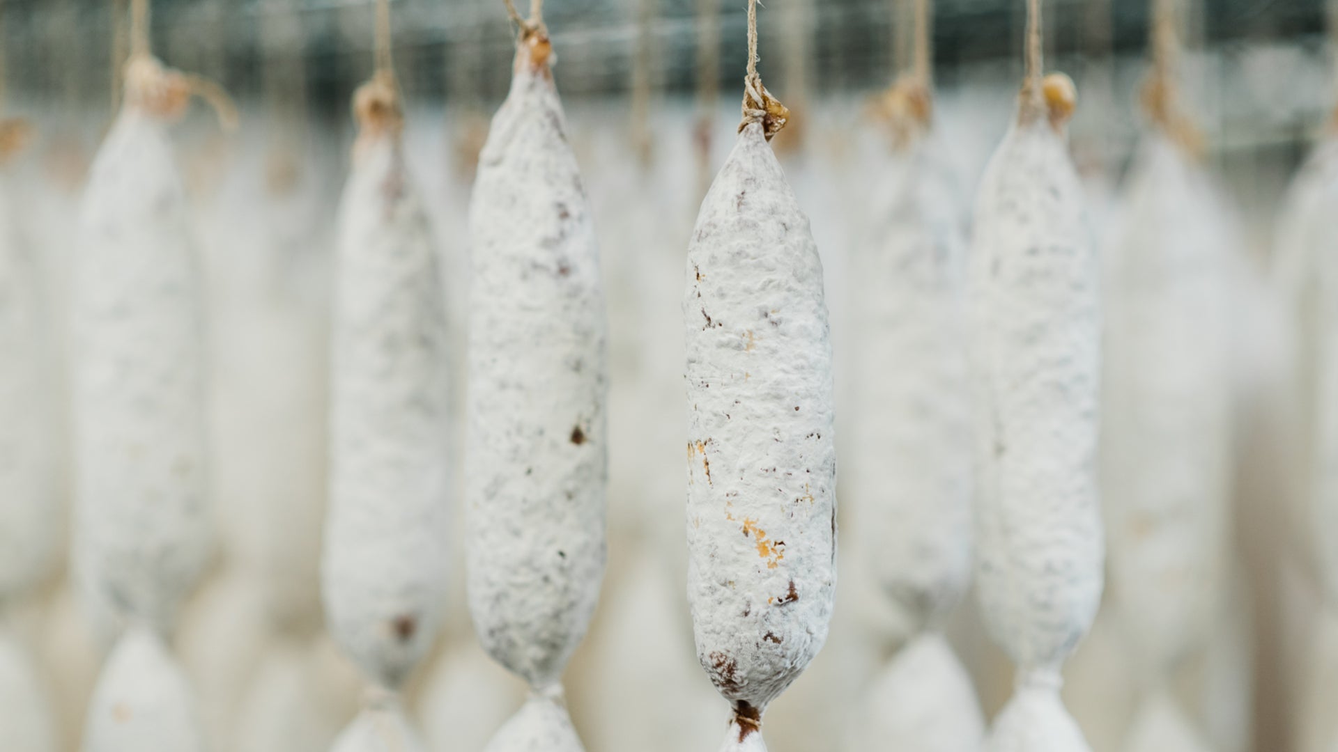A close up picture of salami hanging in the drying room to show the salami's protective white mold.