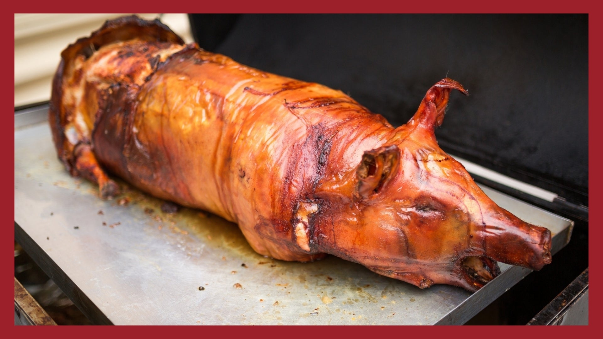 A whole suckling pig that is freshly cooked with golden brown skin.