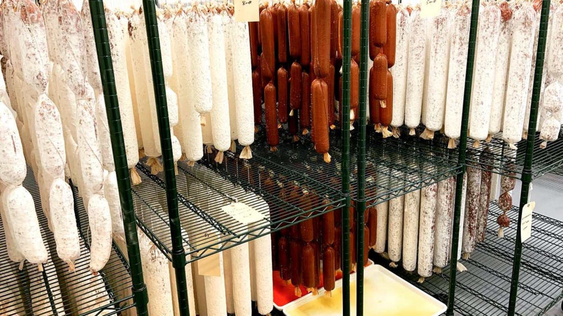 A cured meat drying room with 'Nduja and different hard salami hanging during the meats drying process.